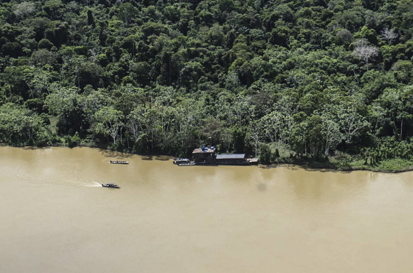 Една трета от Амазония е разрушена от човешка дейност