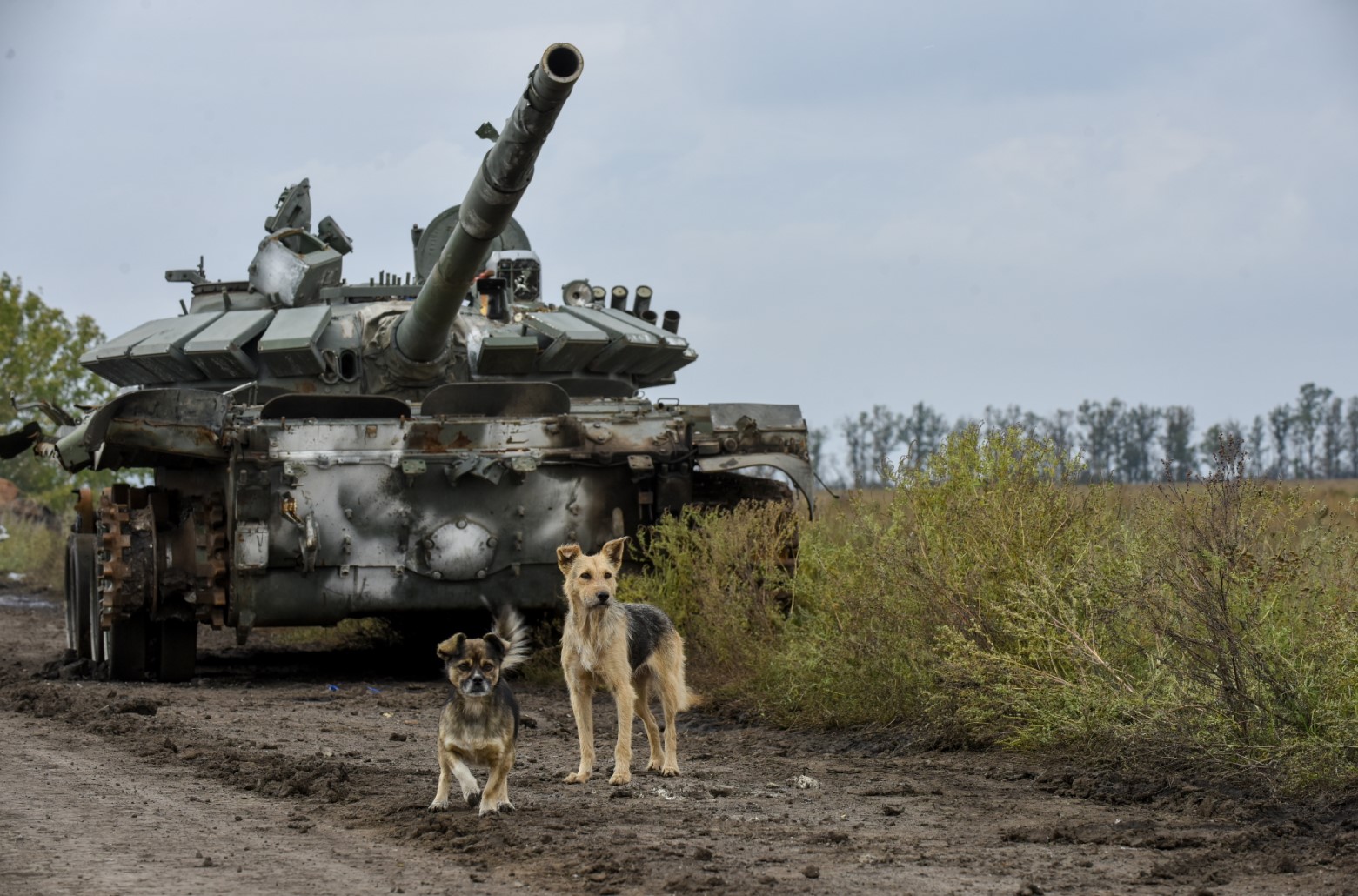 На снимката: ударен руски танк