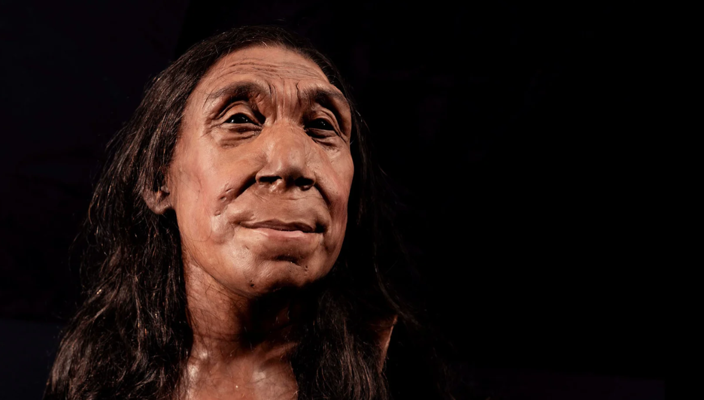 Как е изглеждала на живо най-близката ни роднина преди 75 000 години? (СНИМКА)