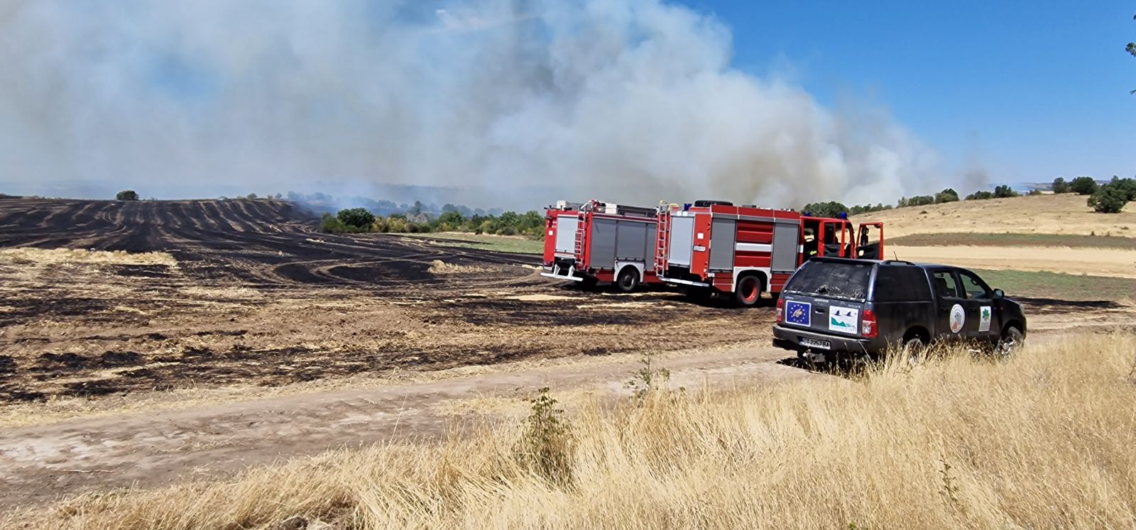 Пожарите в страната: Десетки хиляди декари българска земя е изпепелена (СНИМКИ)