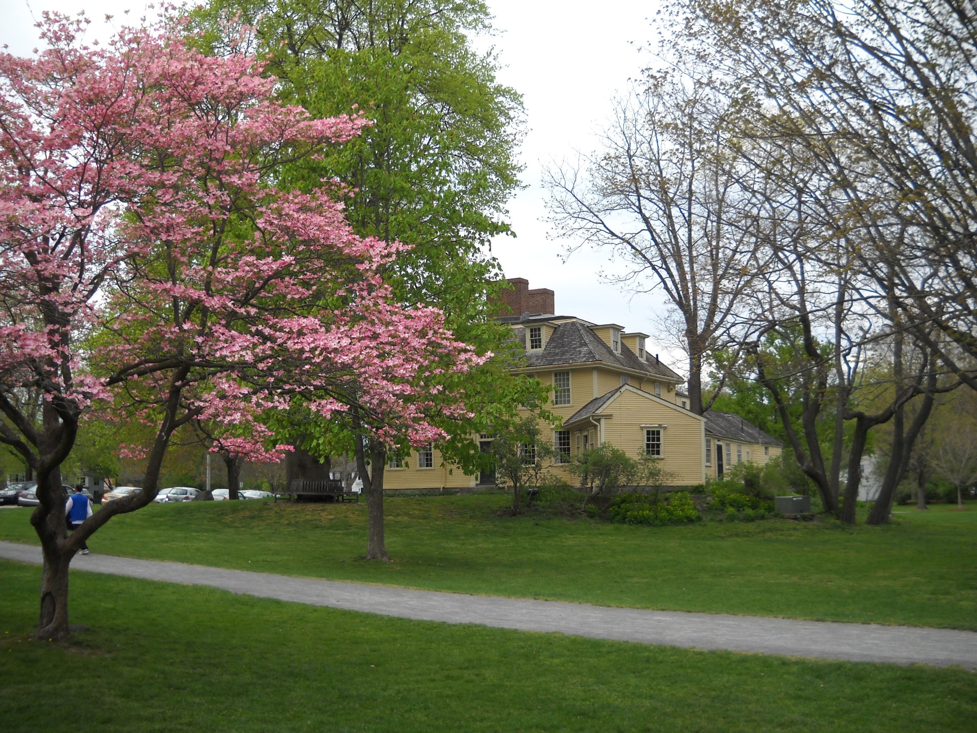 Свободата и на Америка започва от кръчмата